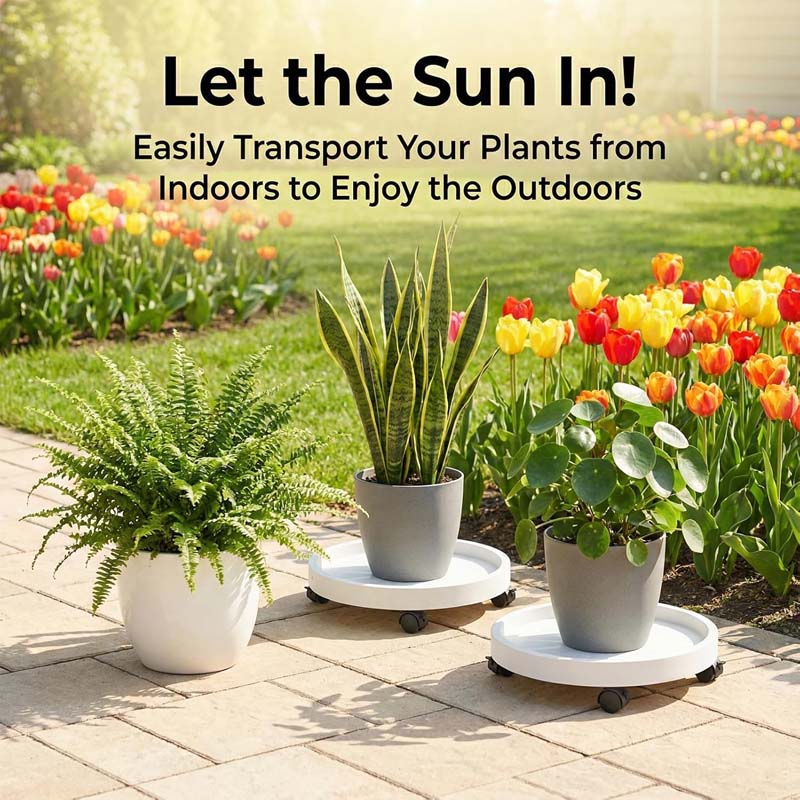 Diigabo 2 Pack 14 Inch Round Plant Caddy with 4 Wheels, Heavy Duty Rolling Plant Stand, Wheeled Planter Saucer Tray Trolley for Planter Pot Indoor Outdoor, White - Image 3